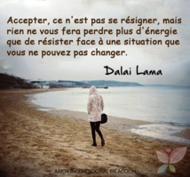 Lacher Prise En Bord De Mer Arcachon Lacher Prise En Bord De Mer Arcachon