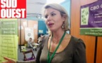 « Prendre du recul pour avancer » - SUD OUEST